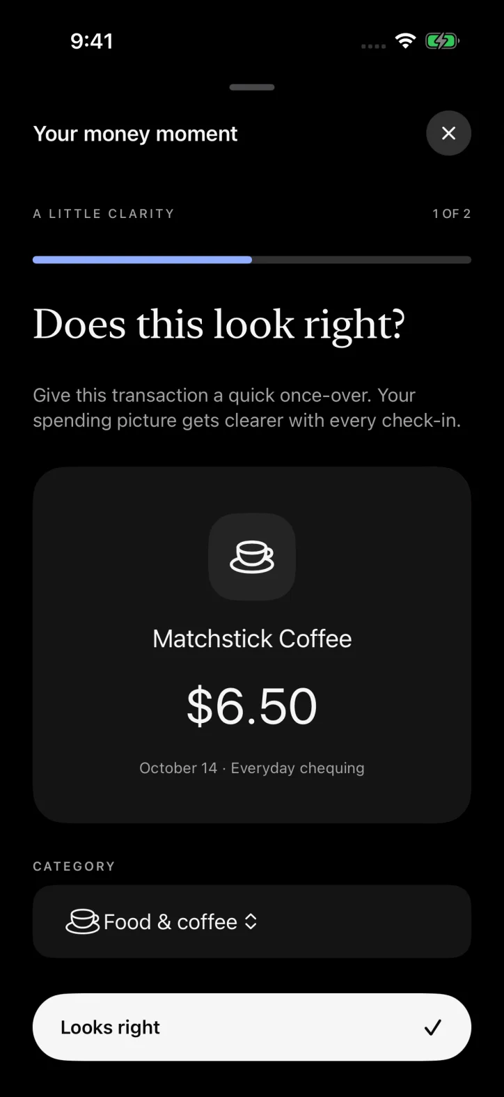 ettavi. — Guided transaction and category review.